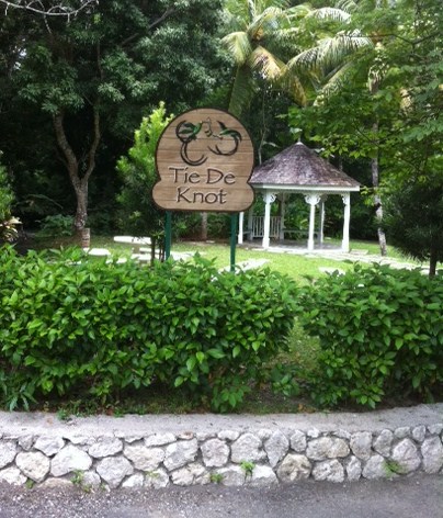 Wedding at Dunn's River Falls